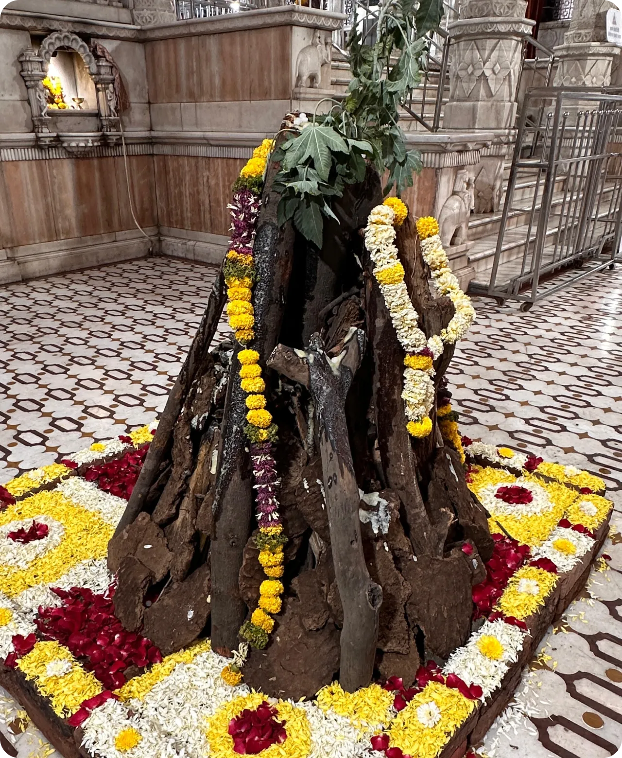 Holi