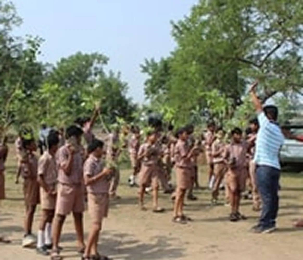 Tree Plantation