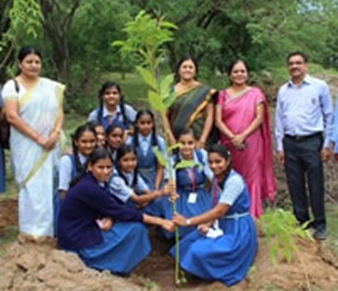 Tree Plantation