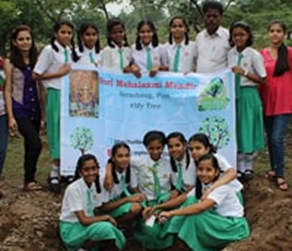 Tree Plantation
